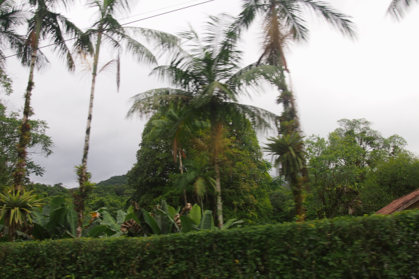 Бразилія (КАскавель, Ріо Азул)