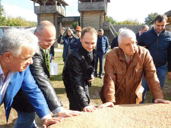 Культурологічна практика