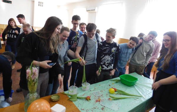 Візит делегації з Роттердаму