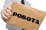 robota 150x100
