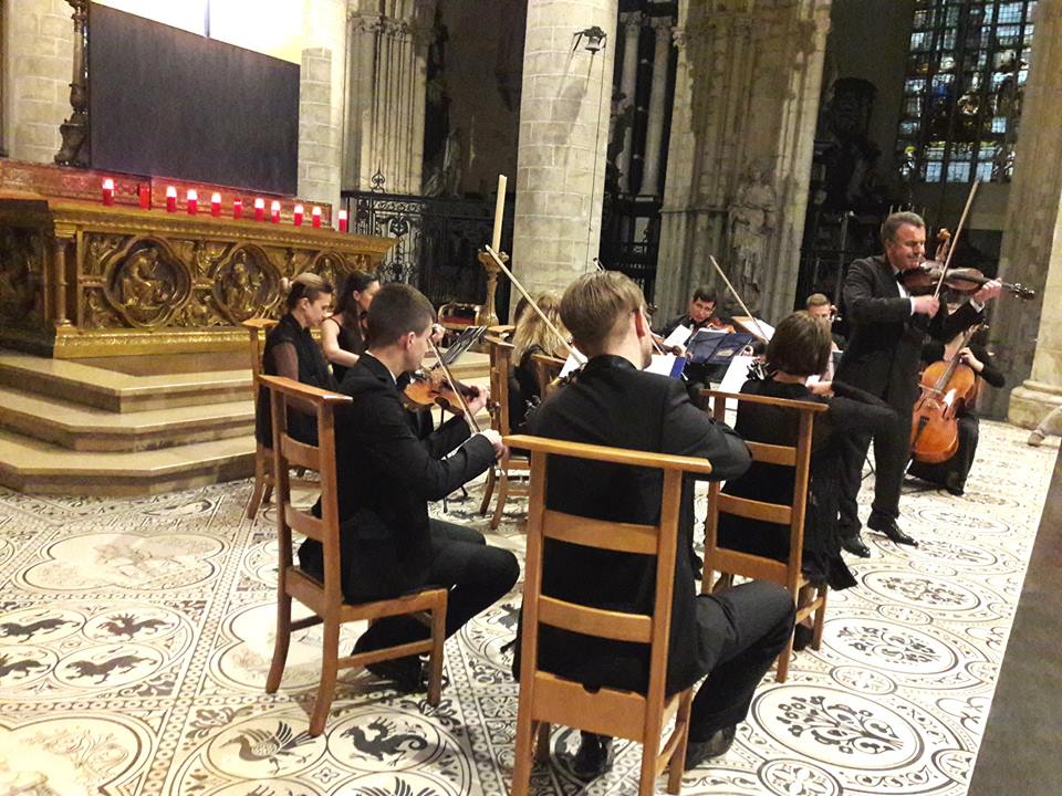 13327472 1193472060665986 8406173779091523652 n