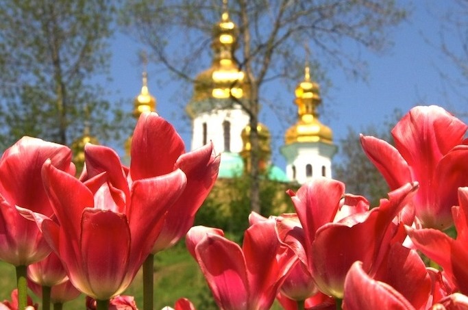 benicer-com-kievskaya-vystavka-cvetov-2012-24